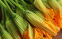 As Summer Blossoms in Italy, So Does Zucchini